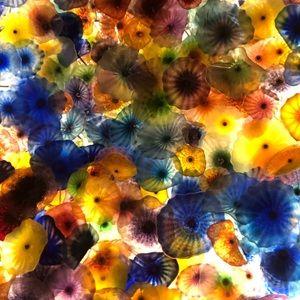 Meet your Posher, Paulette